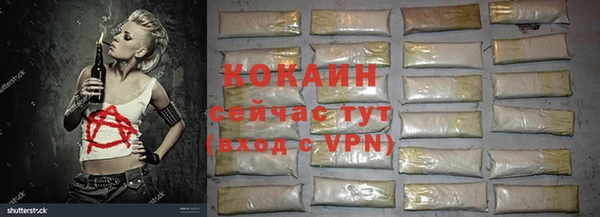 дживик Алзамай